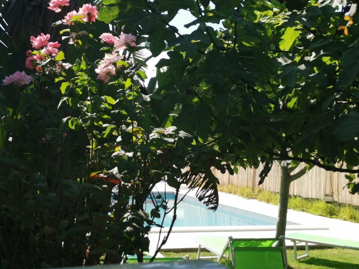 Il Carrubbo, Alloggio In Villa A Marzamemi Kültér fotó